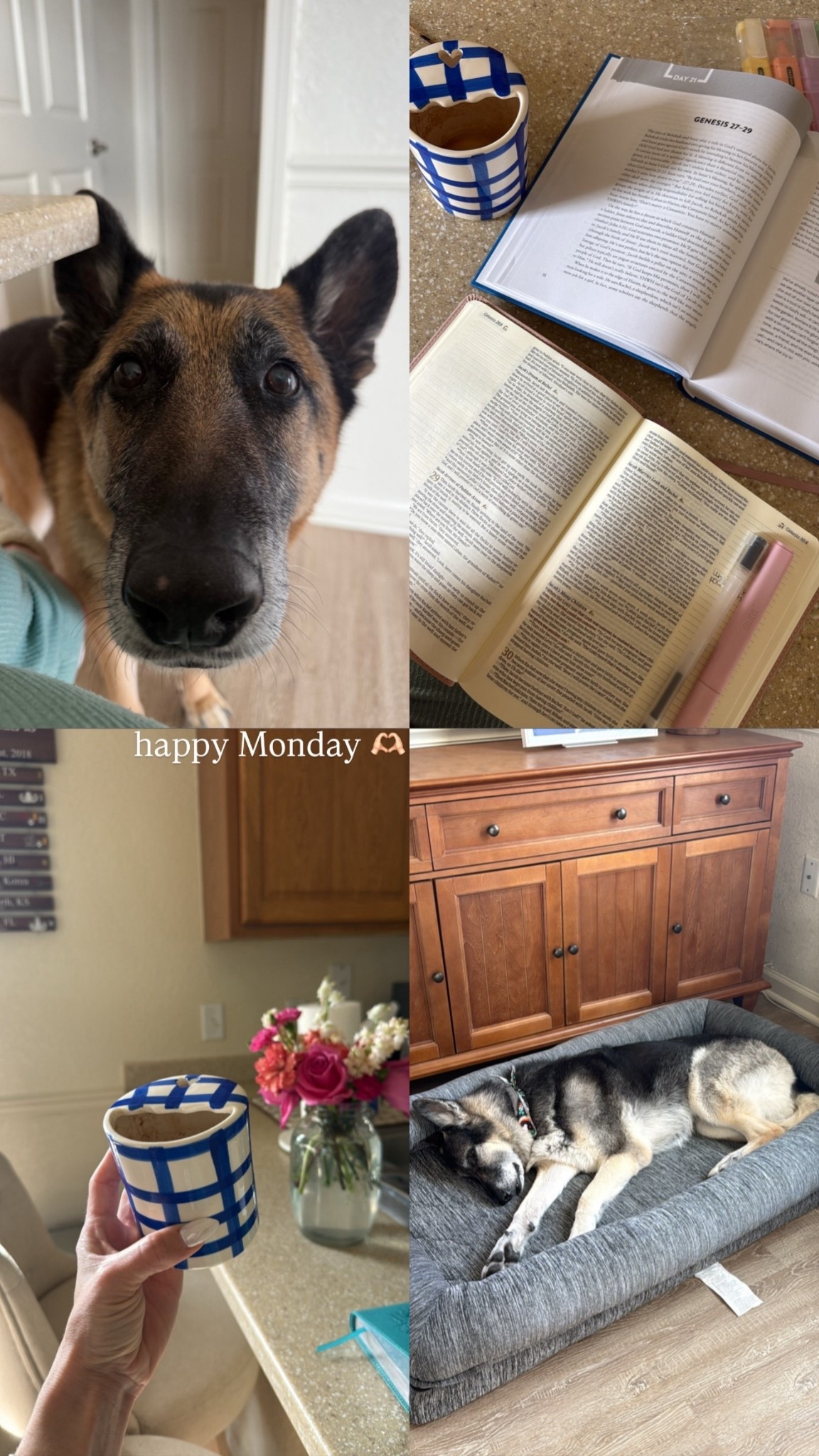 Coffee, bible, and time with my boys!  🫶☕️🐾

 

#LTKdayinmylife #LTKmorningroutine #LTKstorytime