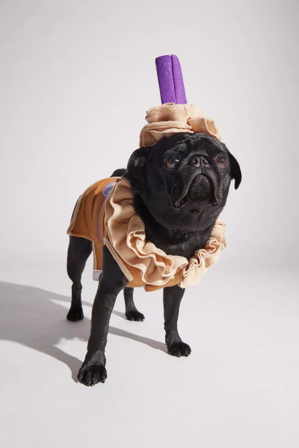 Puppy Latte Pet Halloween Costume | Urban Outfitters (US and RoW)