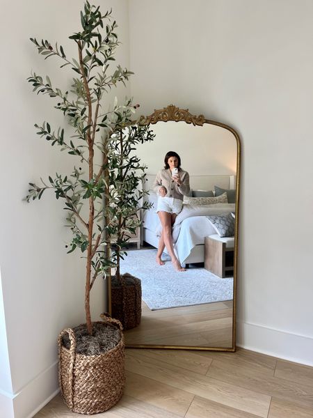 Anthropology primrose mirror dupe from Walmart is BACK in stock and on crazy sale! This is 66” x 36” and on sale for under $350 you will not see a better deal than this! 

#LTKSale #LTKsalealert #LTKhome