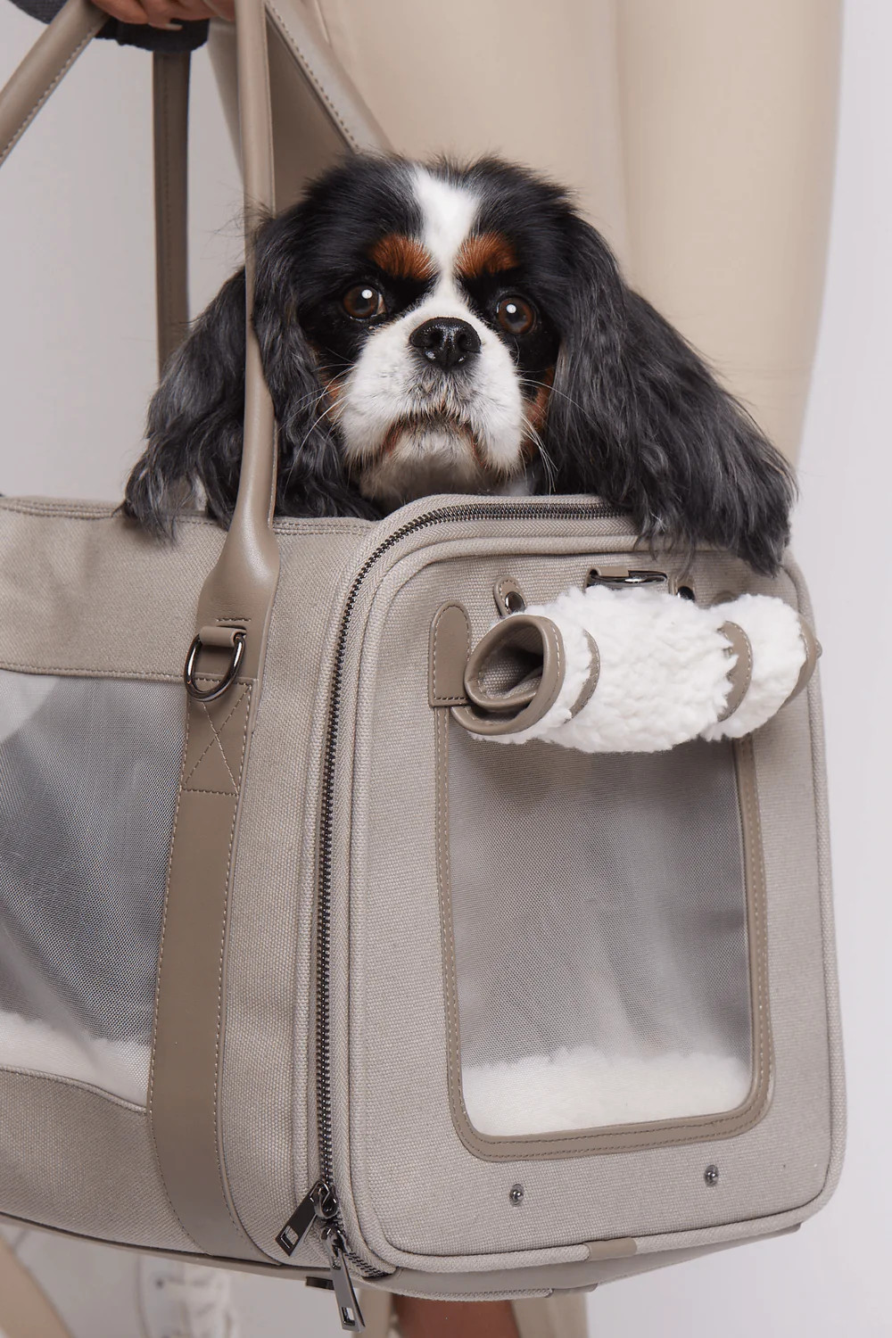 Global Citizen Pet Carrier Bag | max-bone