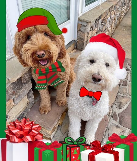 My pets are part of our family. Don’t forget these gift ideas for your fur babies! 🐾🐾

#petgifts #giftsforpets #christmasgiftideas #giftguide #giftideas #pettoys #petbeds #pettreats #petclothing #pettags #familypet #christmasbandana #ltkpet 

#LTKGiftGuide #LTKunder50 #LTKHoliday