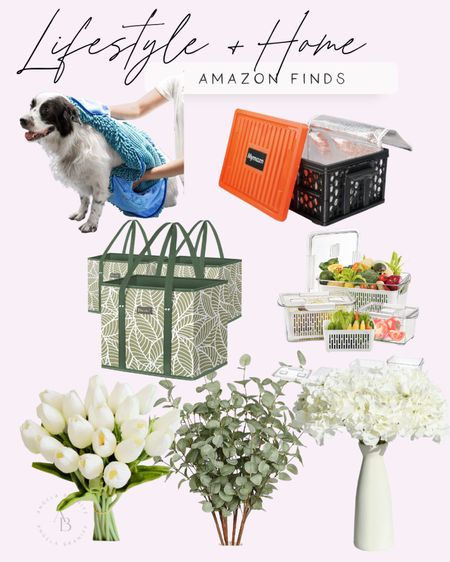 Some things make our lives better because they’re beautiful, some because they’re practical - either way, I love these products for how they function in my life!

#amazonfinds
#amazonhome

#LTKfamily #LTKFind #LTKhome