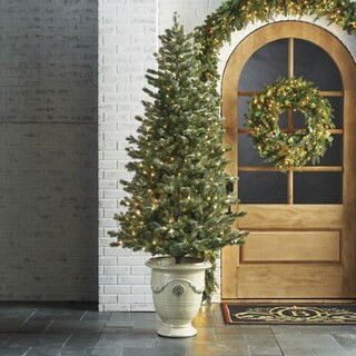 Montana Flocked 6.5 ft. Potted Tree | Frontgate