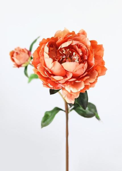 Dark Coral Orange Fake  Garden Peony - 6" Bloom | Afloral (US)