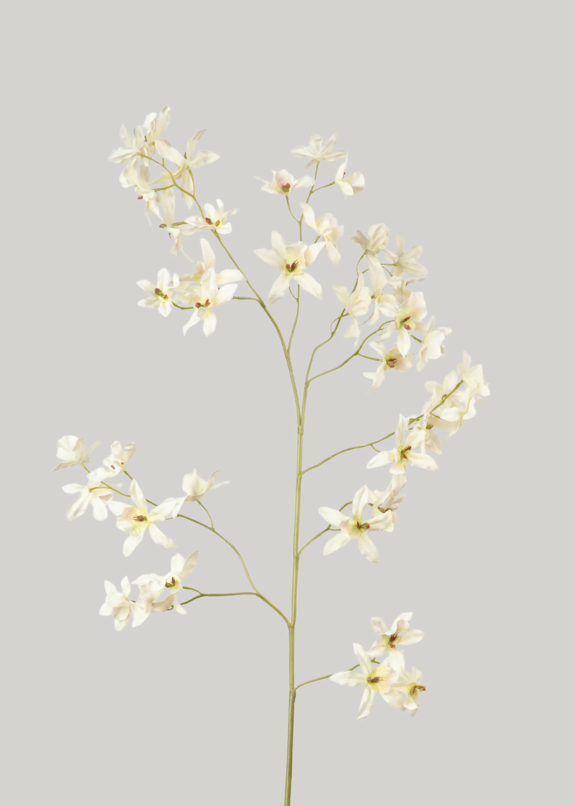 Oncidium Orchid Branch in White | Luxe Faux Orchids at Afloral | Afloral