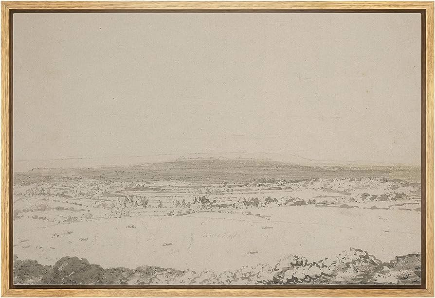 SIGNLEADER Framed Canvas Print Wall Art Grey Abstract Landscape Nature Wilderness Modern Art Deco... | Amazon (US)