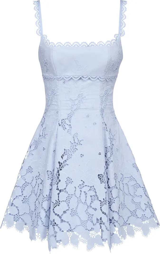 Isla Bluebell Scalloped Lace Cocktail Minidress | Nordstrom