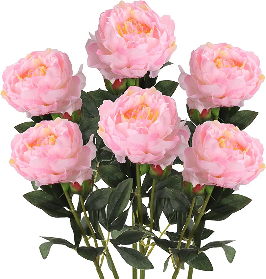 Grand Verde Artificial Peonies 25” Tall Stems Bulk Silk Peony Faux Flower Heads Large Floral De... | Amazon (US)