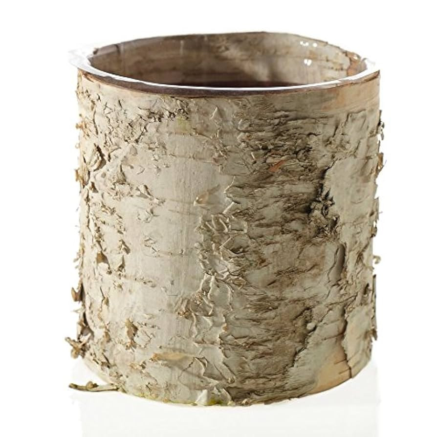 Accent Birch Cylinder Vase Rustic Wedding Decorations - 5.5" Tall | Amazon (US)