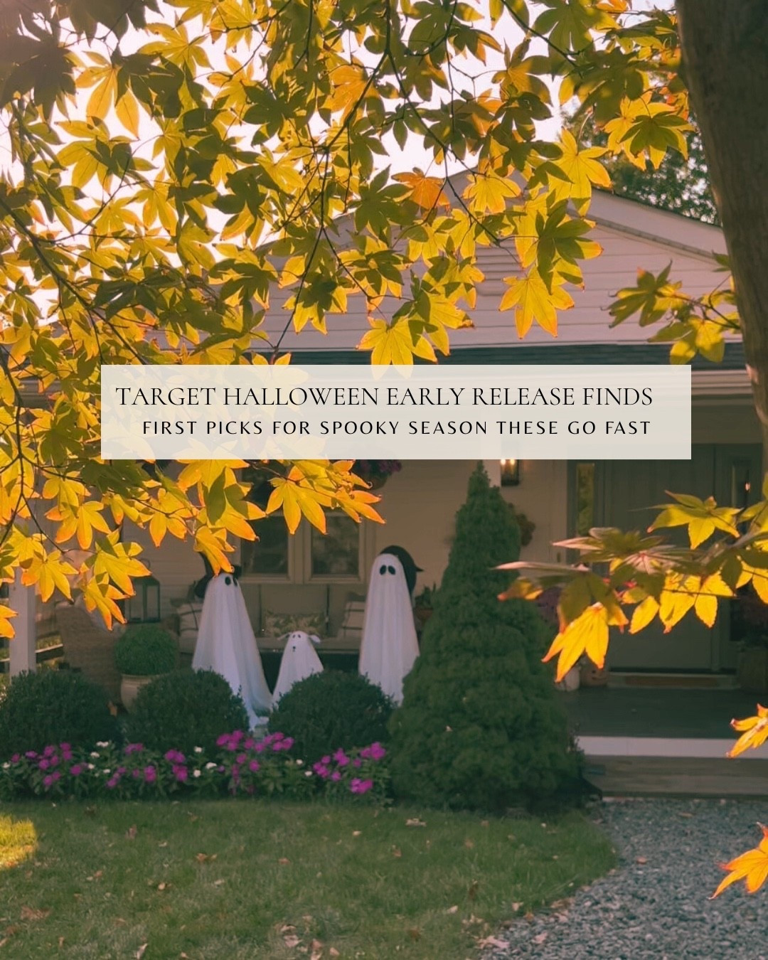 🎃 First picks for spooky season just dropped—and these won’t last.

From light-up ghost garlands and marble pumpkins to champagne-toned skeletons and $5 haunted house finds… this year’s Target Halloween decor is GOOD.