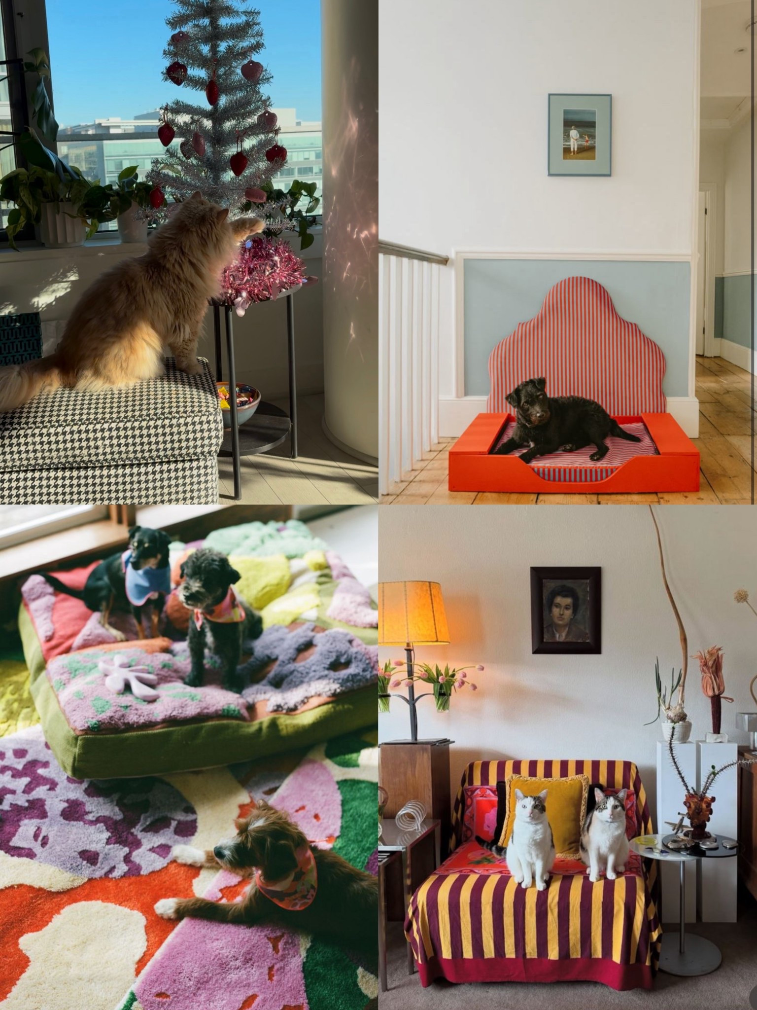 Day 5 of 30 days of gift giving ⭐️ today’s category: the pet lover 