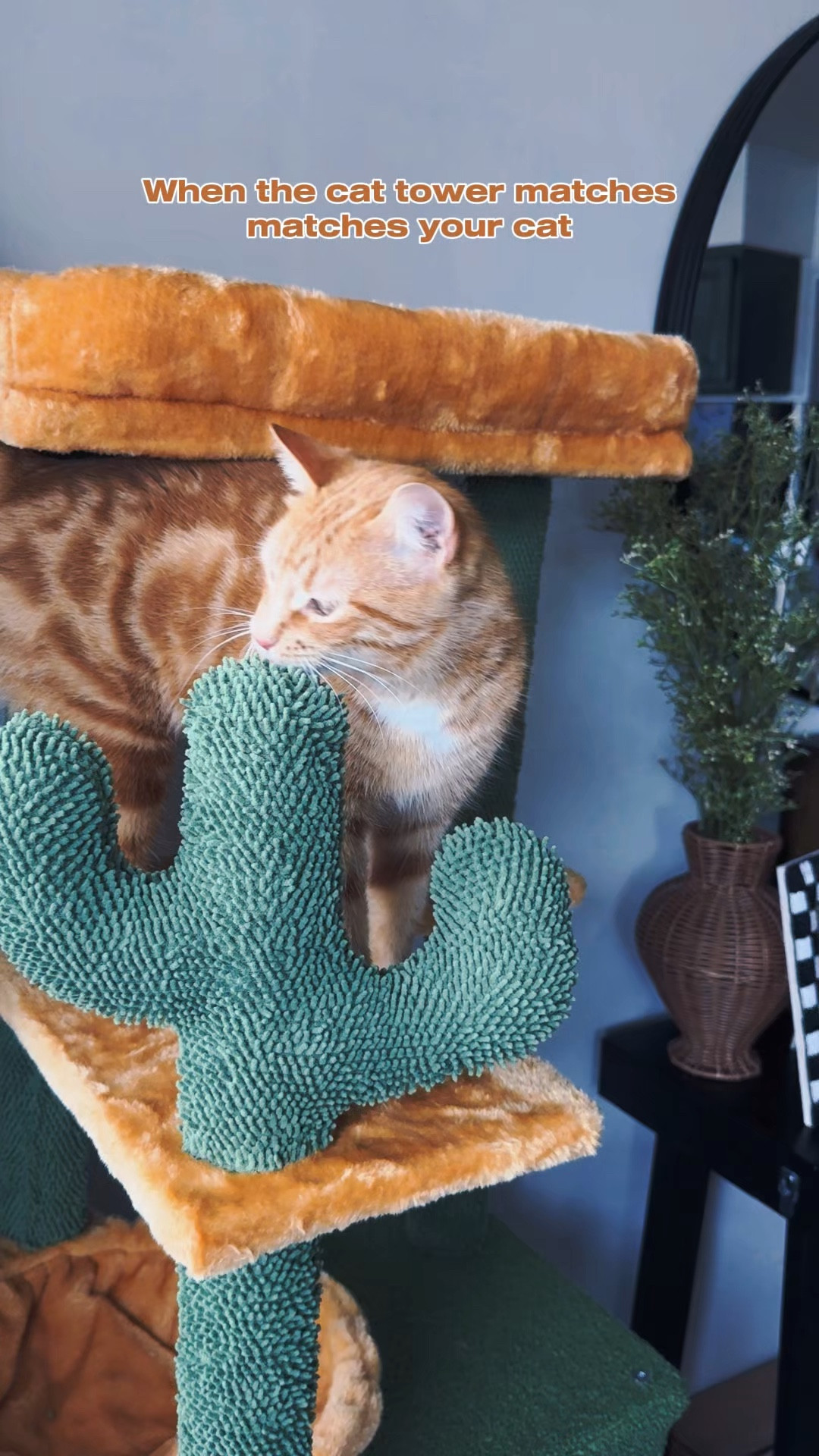 The cutest cat tower!

#LTKSaleAlert #LTKFindsUnder100 #LTKHome