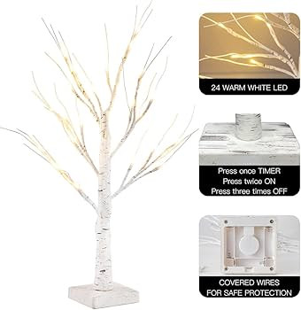 ESTTOP 24” 2FT Lighted Birch Tree with 24LT Warm White LEDs, Christmas Decorations Indoor Batte... | Amazon (US)