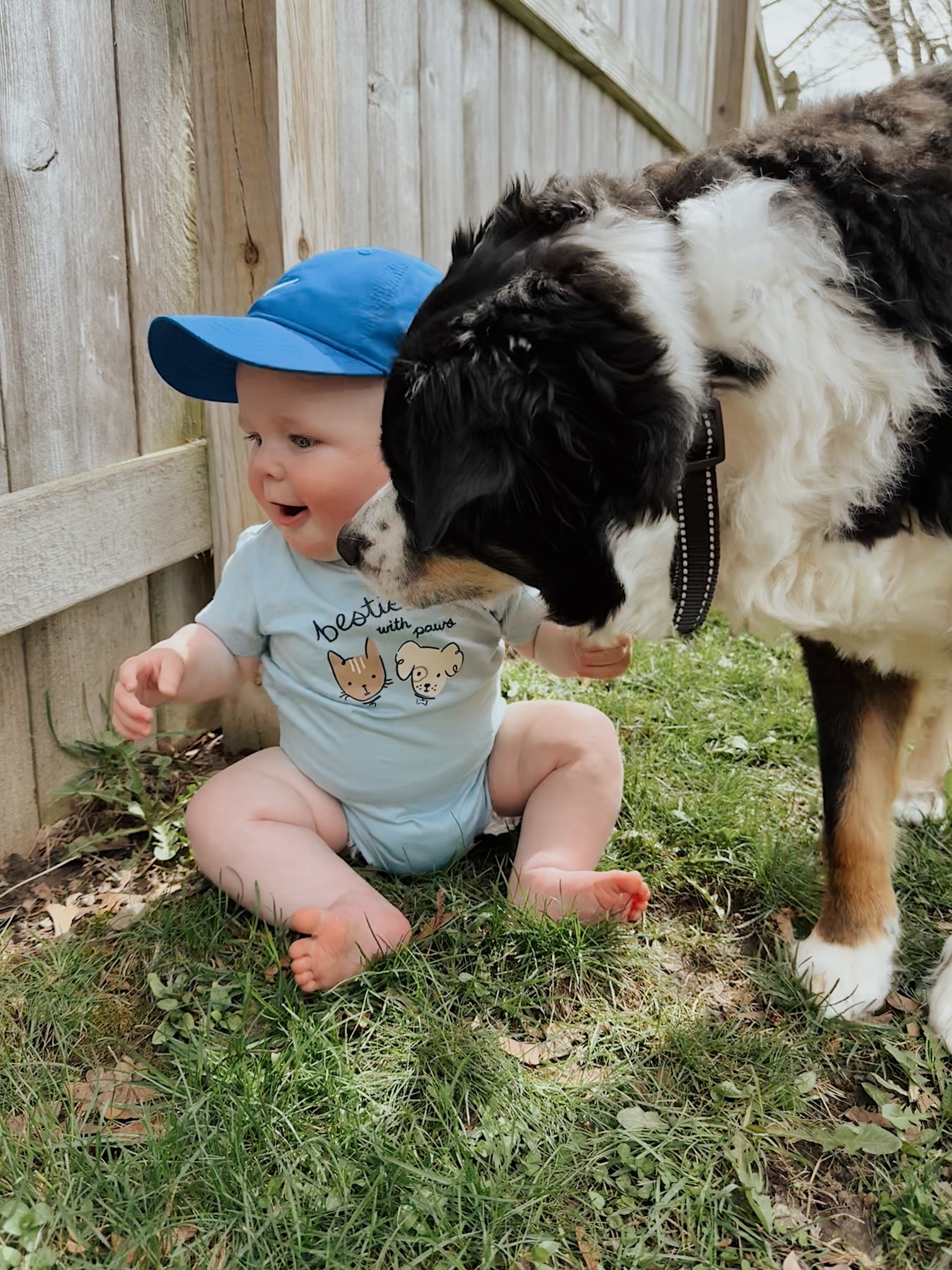 besties 🐾🩵


#LTKKids #LTKmomlife #LTKBaby