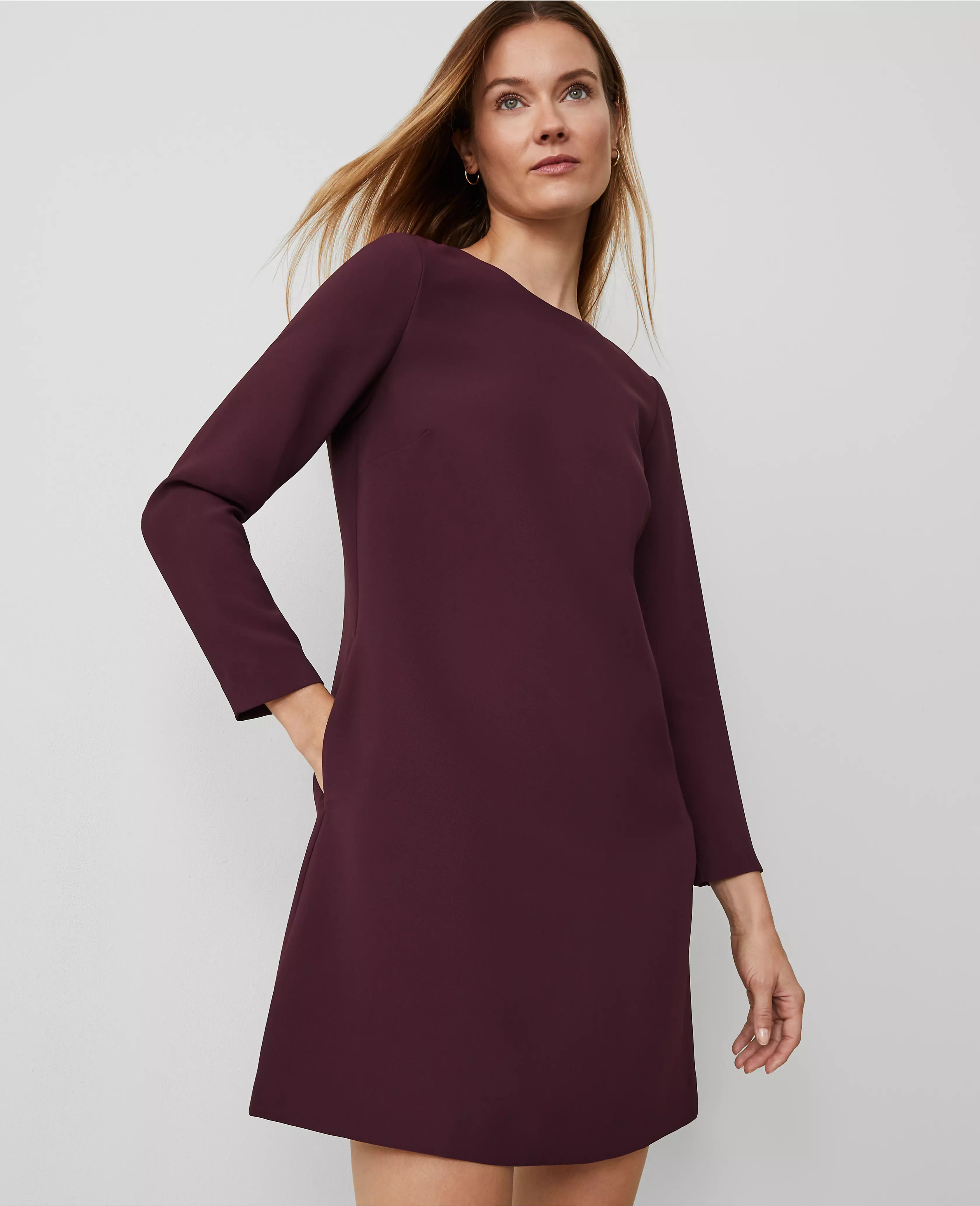 Long Sleeve Shift Dress | Ann Taylor (US)