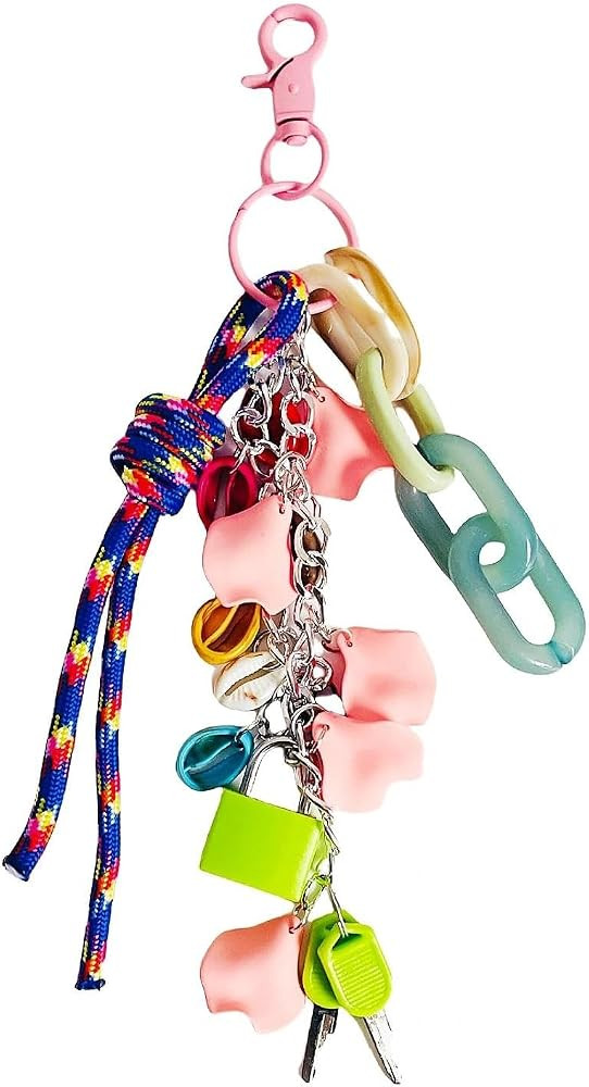QTMY Keychain Bag Charms for Handbag Purse Backpack Accessories for Bogg Bag,676 | Amazon (US)