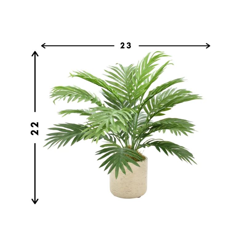 Areca Floor Palm Plant in Pot | Wayfair North America