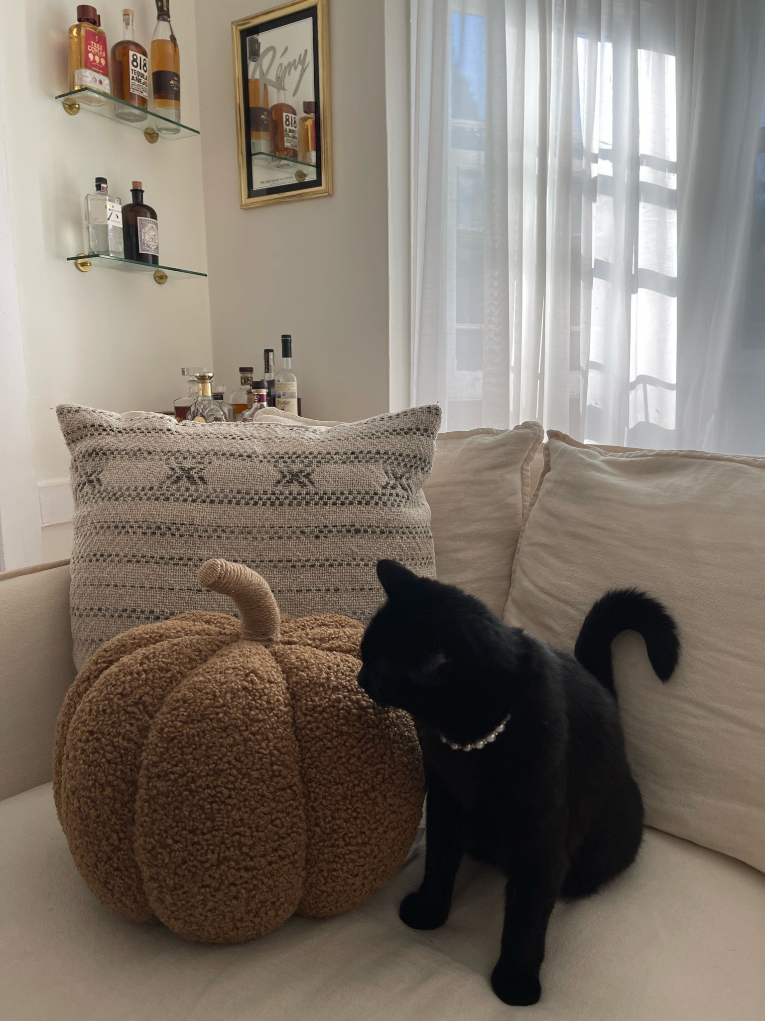 Pottery Barn Halloween Pillows 🎃

#LTKSeasonal #LTKhome