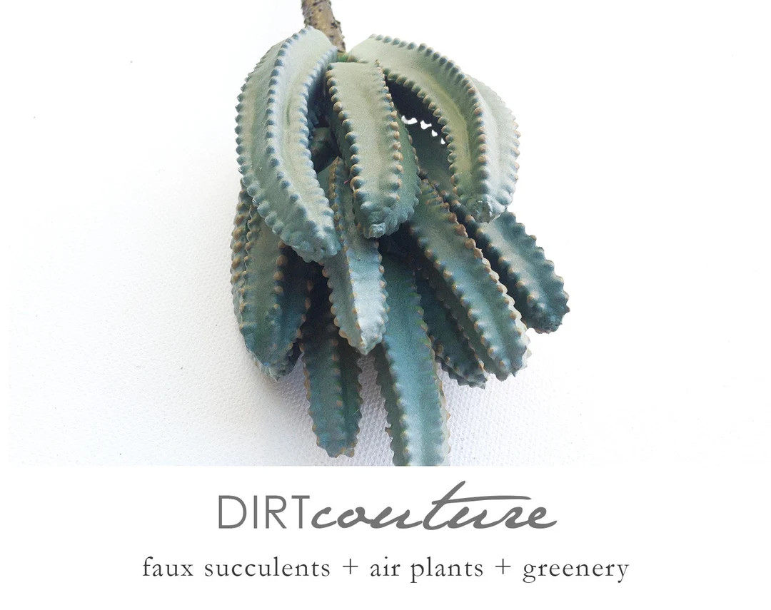 Faux Organ Pipe  cactus, artificial plant, faux succulent, Euphorbia, succulent | Etsy (US)