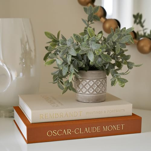 Beautiful Decorative Books - Set of 2 Linen Boxes Enhance Your Coffee Table, Bookshelf or Mantel Decor - Aesthetic Fake/Faux Books for Modern Home Decoration, Photo Storage and as a Keepsake Box | Amazon (US)