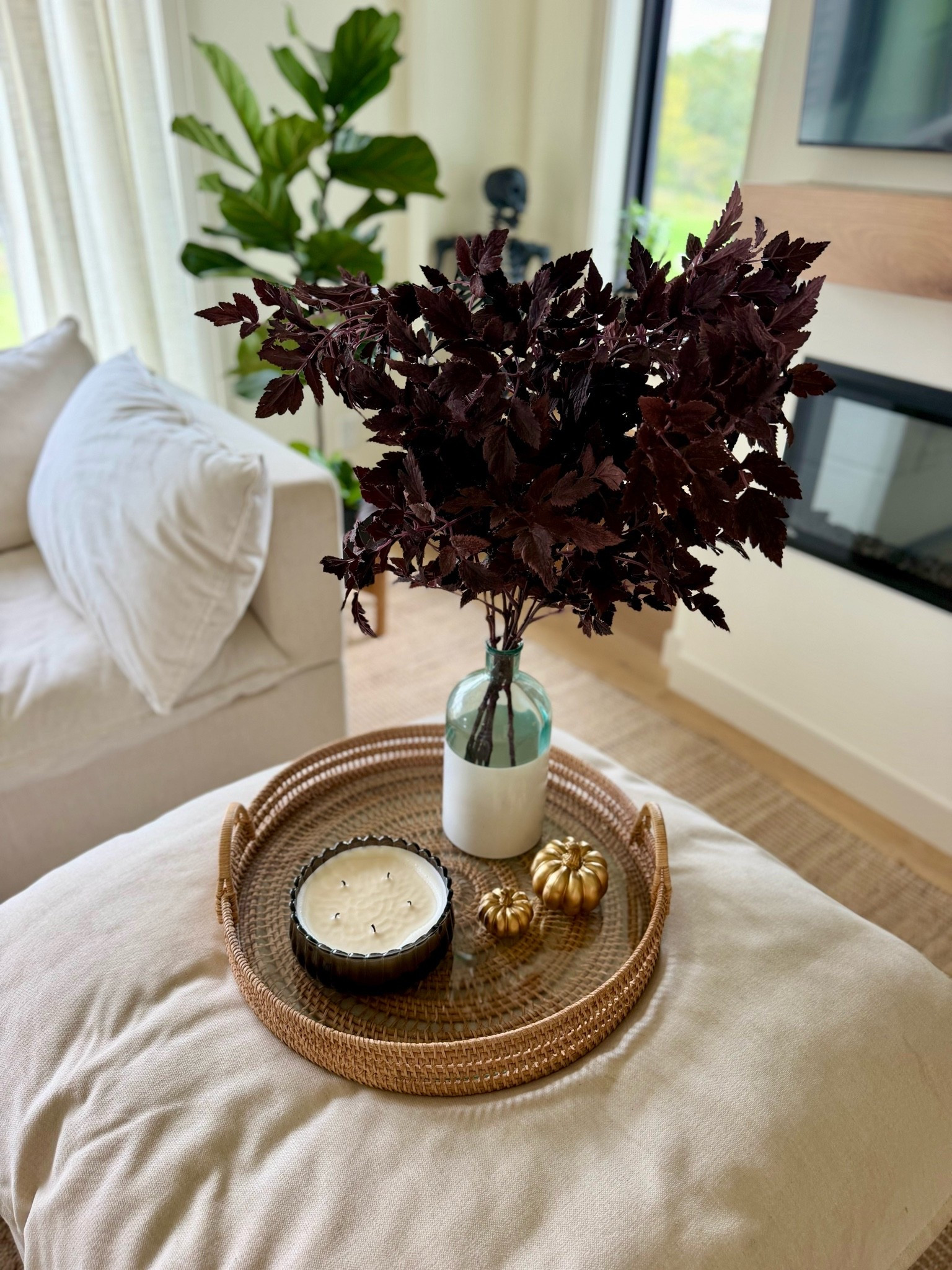 fall decor 🍁 
  

Halloween decor
Black skeleton
Serena and lily
Hearth and hand candle
Faux stems 
Albany park
Living room decor
Organic modern home decor
Neutral living room
Annie selke
Jute rug
Target Halloween
Fig 
#LTKdayinmylife
#LTKgrwm
#LTKselfcare
#LTKfitnessgoals
#LTKmorningroutine
#LTKstorytime
#LTKfoodie
#LTKvlog
#LTKSeasonal
#LTKActive
#LTKU
#LTKHome
#LTKPetite
#LTKTall
#LTKMidsize
#LTKWorkwear
#LTKTravel
#LTKBump
#LTKBeauty
#LTKSeasonal
#LTKWedding

#LTKHome #LTKOver40 #LTKmomlife