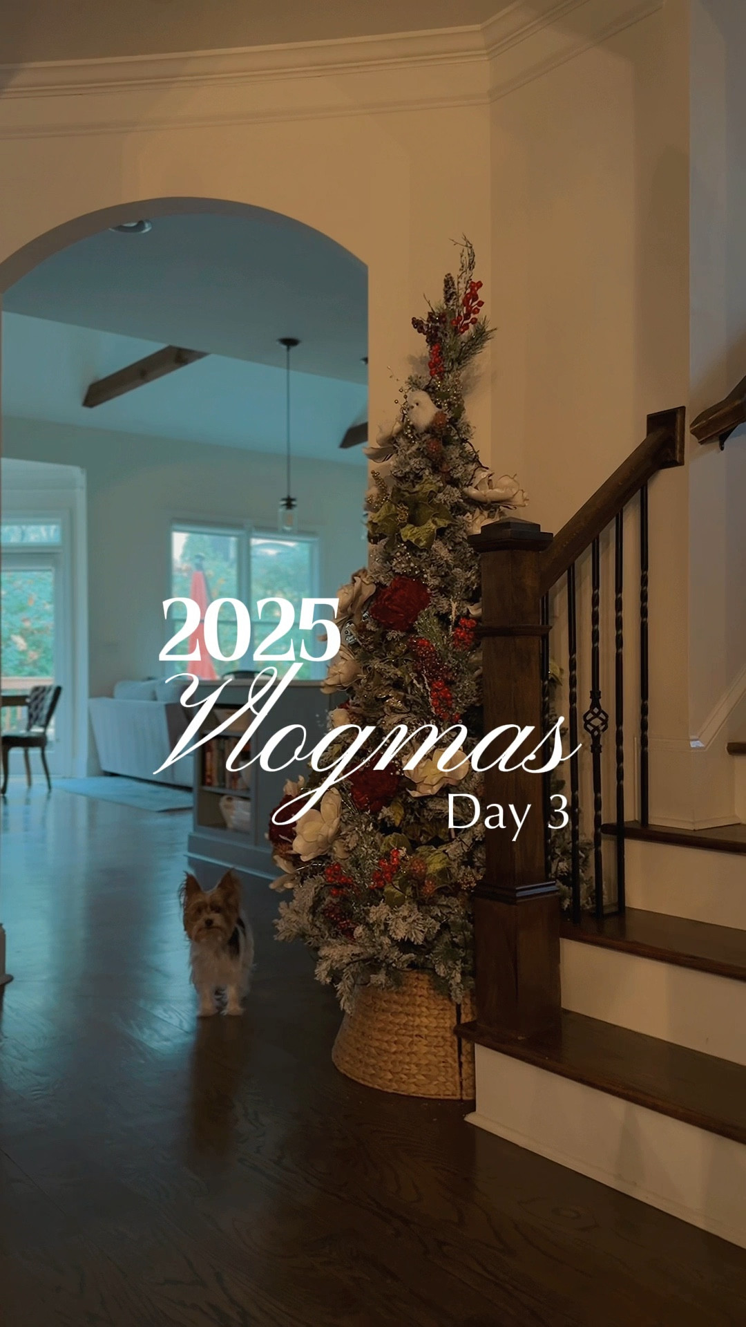 Vlogmas Day 3: I had to play catchup with the advent calendar from @Jurlique Natural Skincare ! So far loving it!

#vlogmas #vlogmas2025 #christmas #christmasdecor #adventcalendar 

#LTKHoliday #LTKGiftGuide #LTKOver40