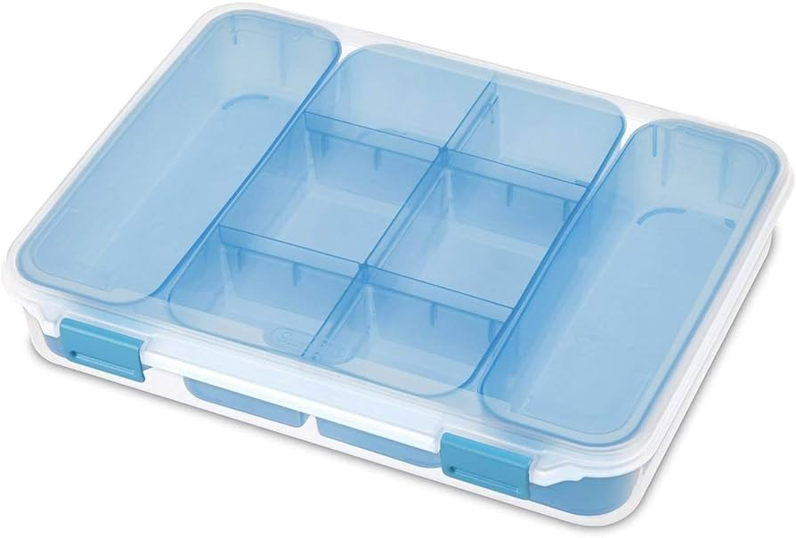 STERILITE Divided Case, Multicolor | Amazon (US)