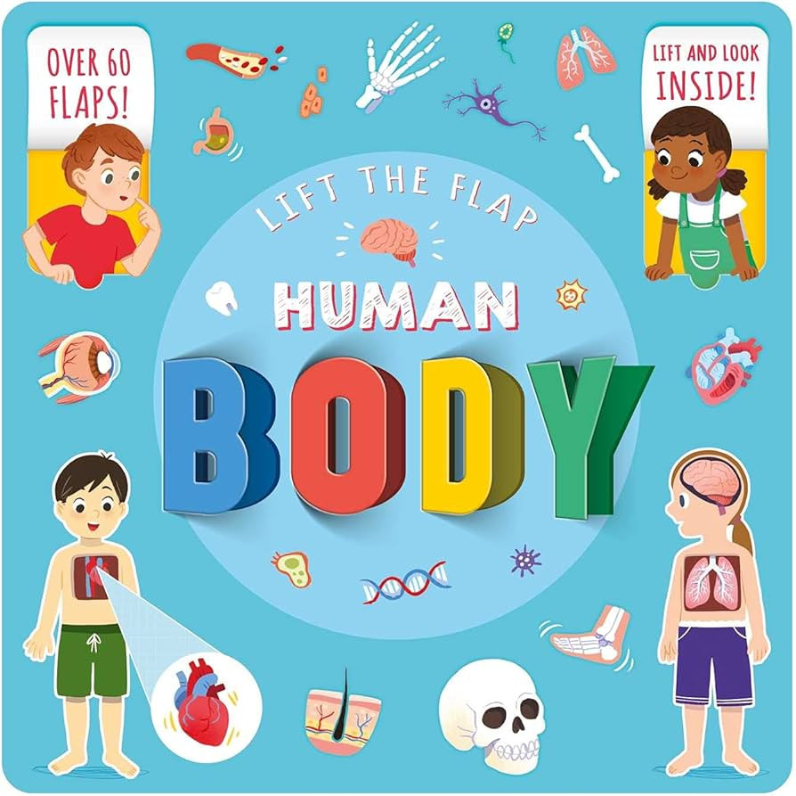 Lift The Flap Human Body: with Over 60 Flaps! (Lift and Look Inside!) | Amazon (US)