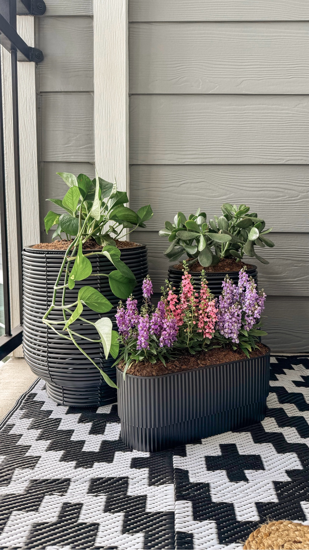 I did this on my balcony, but it works in patios and small outdoor spaces too.
Easy-care plants and all the DIY materials you need.
Tap the links to shop my balcony and patio plant project! 🍃

#LTKHome #LTKSeasonal