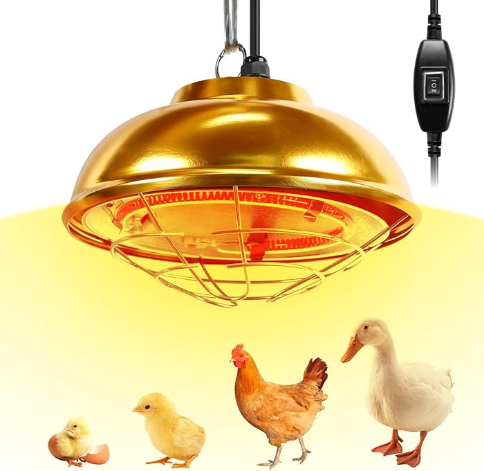 Heat Lamp for Chickens Coop Heater,350W Chick Brooder Heater for Chicks Poultry Coop,Small Pets H... | Amazon (US)