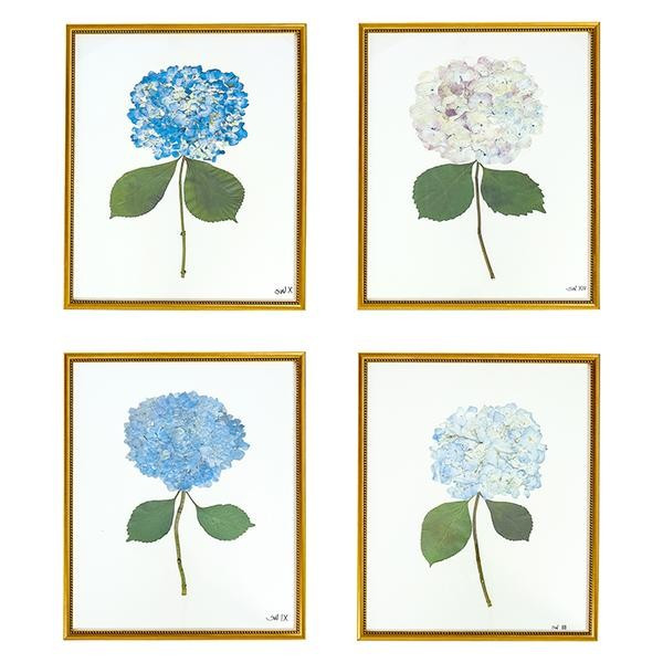 Single Hydrangea Set | Caitlin Wilson Design