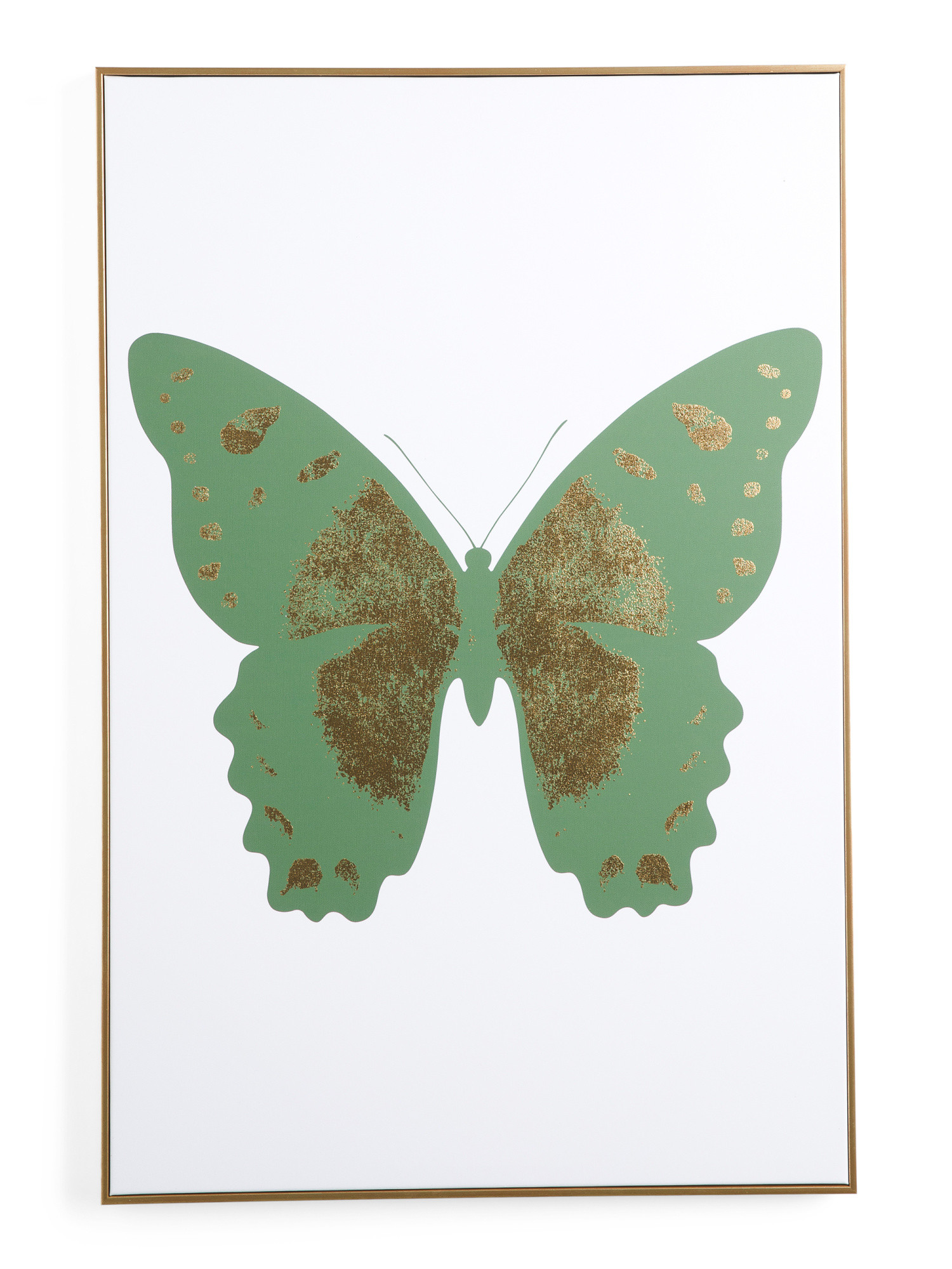 24x36 Green Butterfly Wall Art | TJ Maxx