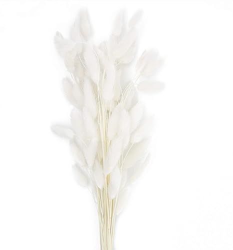 60 Stems Natural Dried Lagurus Ovatus Flowers |Real Bouquet with Rabbit Tail Dried Pampas Flowers... | Amazon (US)