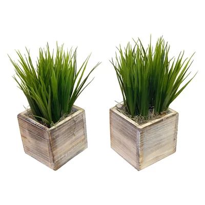 Faux Grass in Square Wooden Planter | Wayfair North America