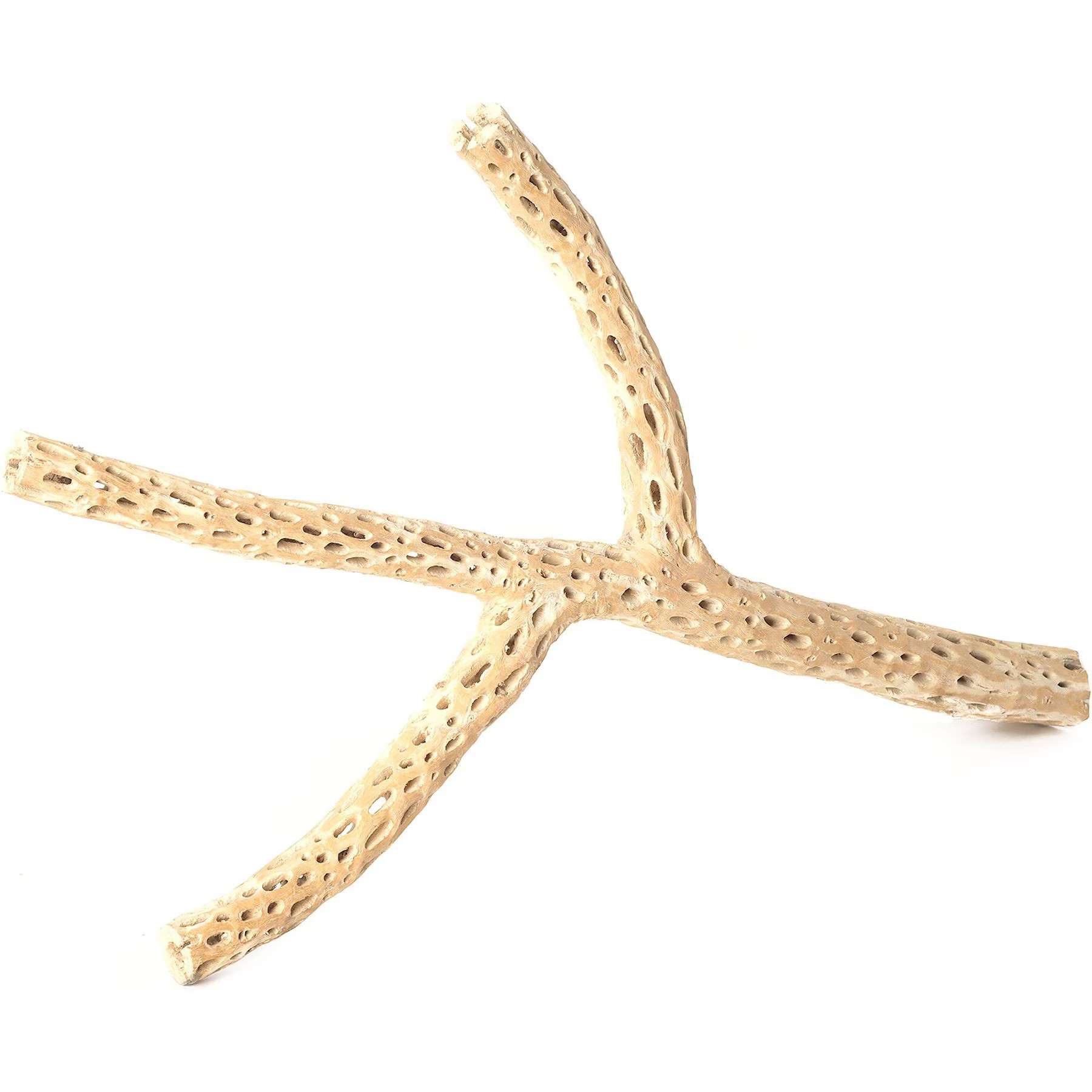 Galapagos Cholla Wood Branch Terrarium Accessory, Branched, 36-in | Chewy