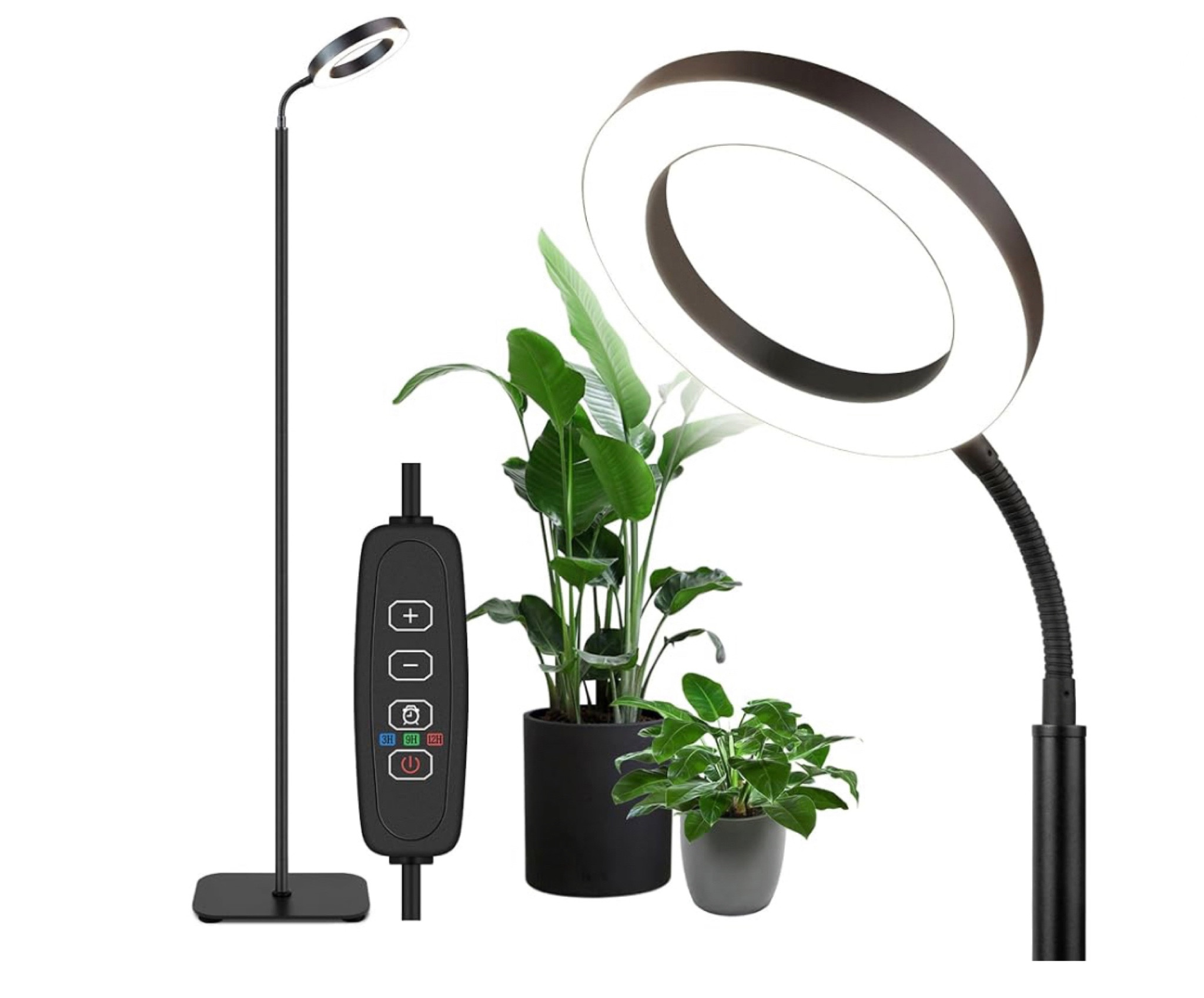 MistyJungle Grow Light for Indoor Plant, Full Spectrum Dimmable LED Halo Growing Lights with StandAutomatic Timer for Large Tall Small Plants

#LTKhome #LTKfindsunder50 #LTKGiftGuide