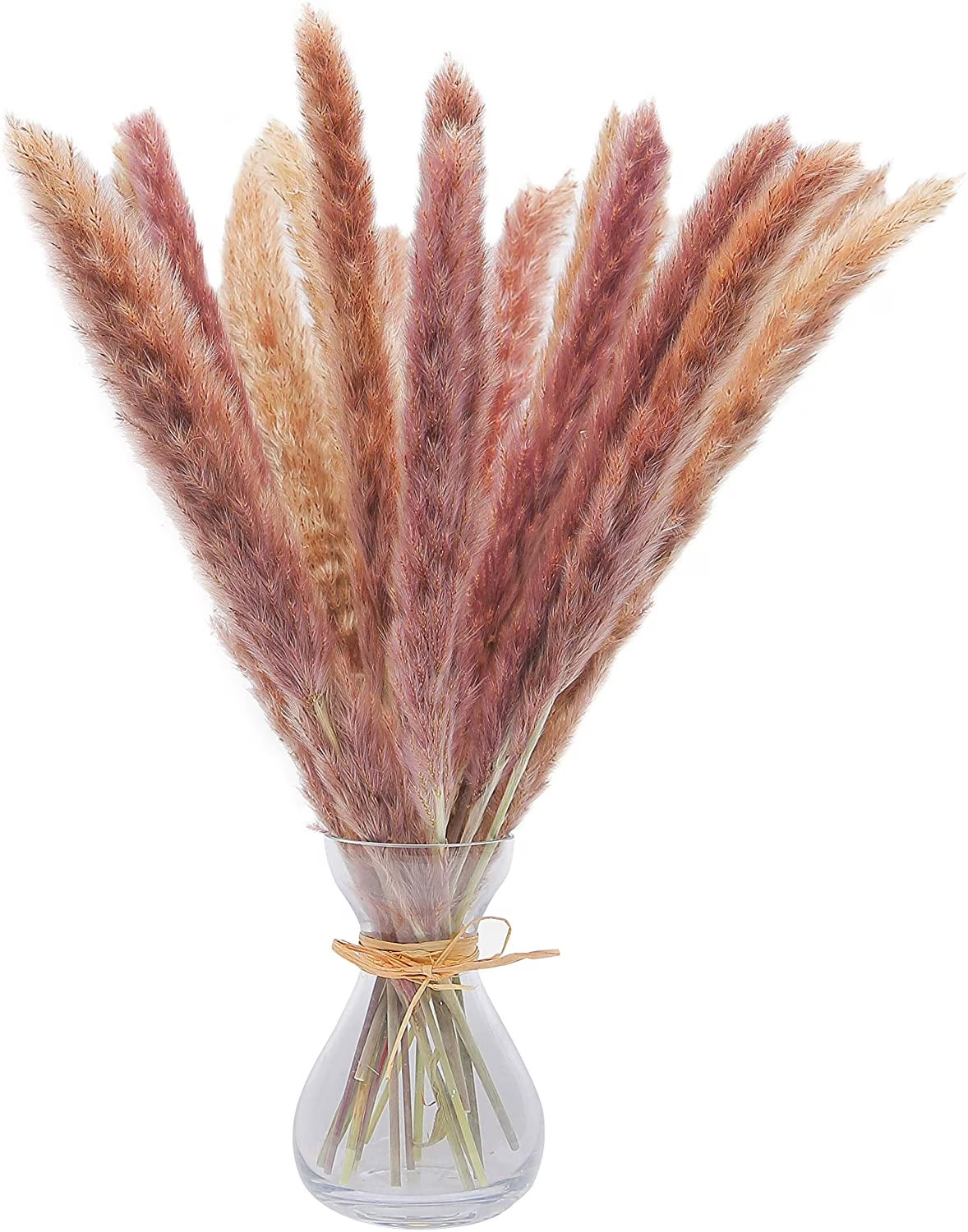 30 Pcs 45 cm All Natural Dried Pampas Grass Vase Decor - Dried Flowers for Vase - Pampass Grass B... | Walmart (US)
