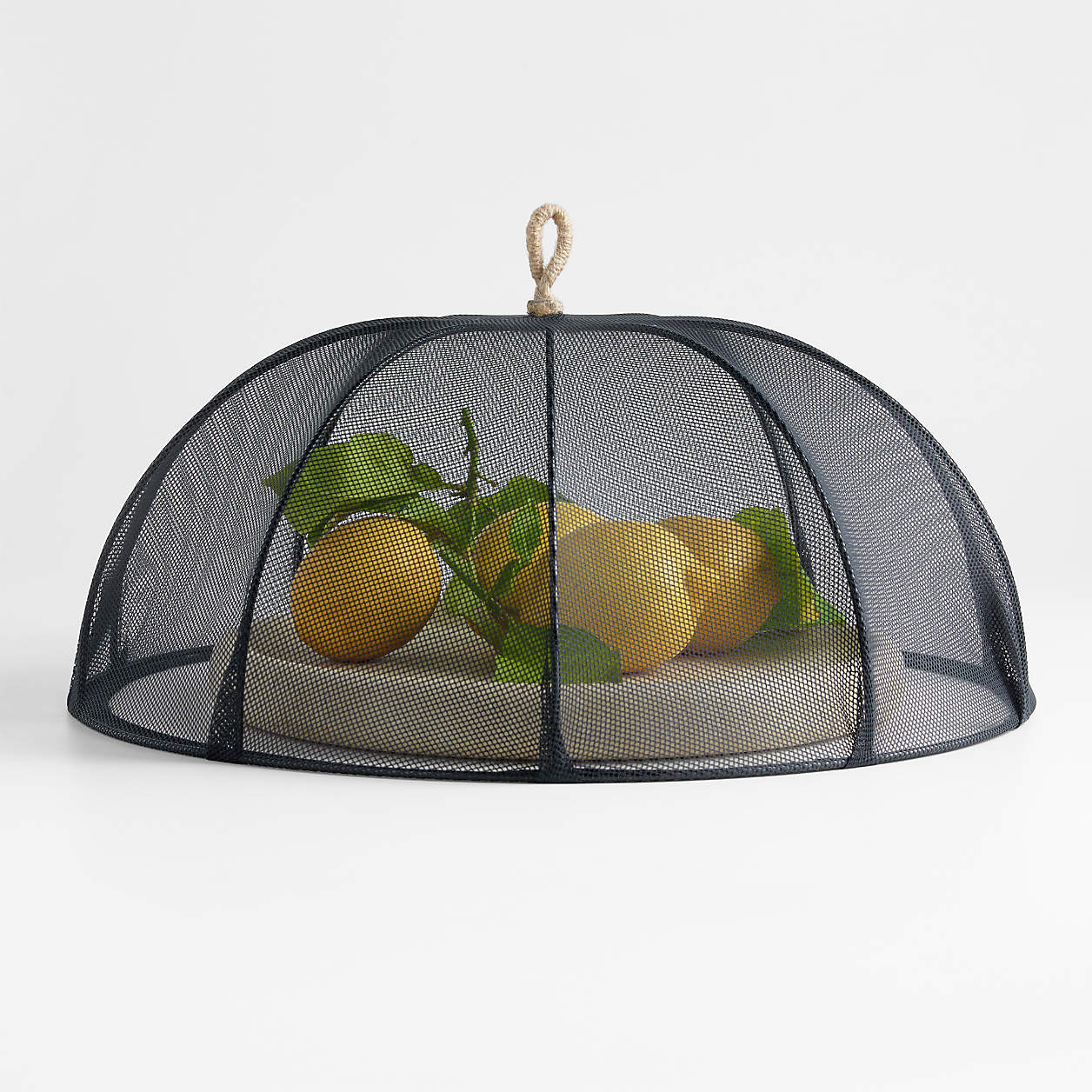 Black Mesh 18" Round Food Cover + Reviews | Crate & Barrel | Crate & Barrel