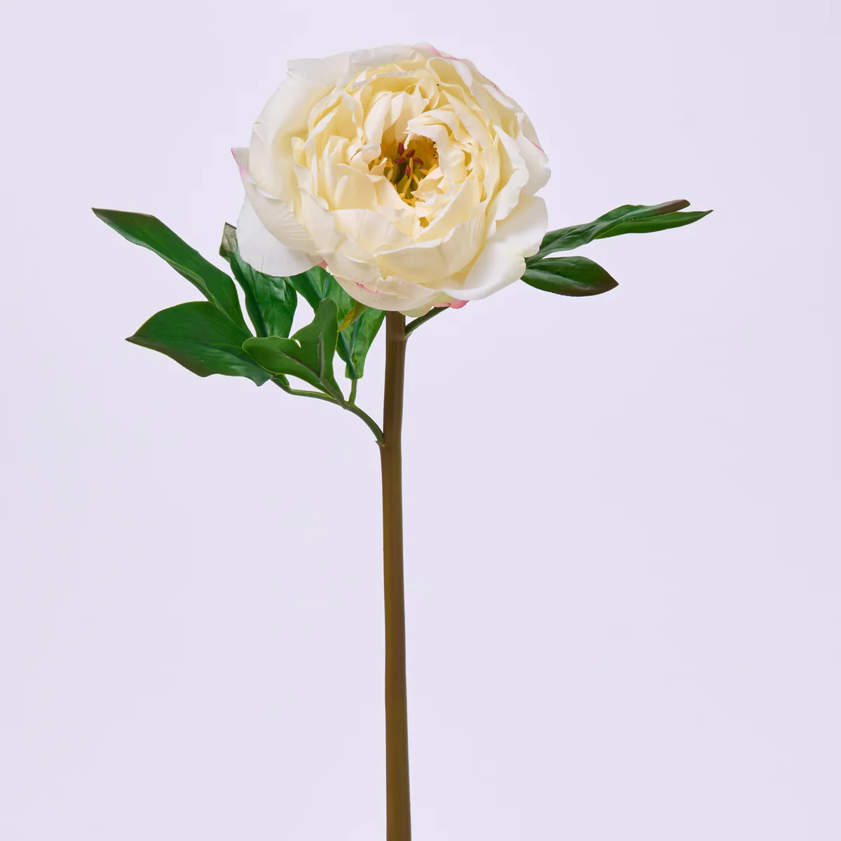 Real Touch Cream Single Peony Bloom Faux Floral Stem Spray  - 22" | Darby Creek Trading