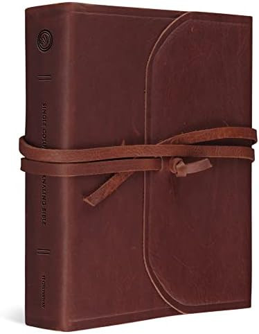 ESV Single Column Journaling Bible, Large Print (Brown, Flap with Strap) | Amazon (US)