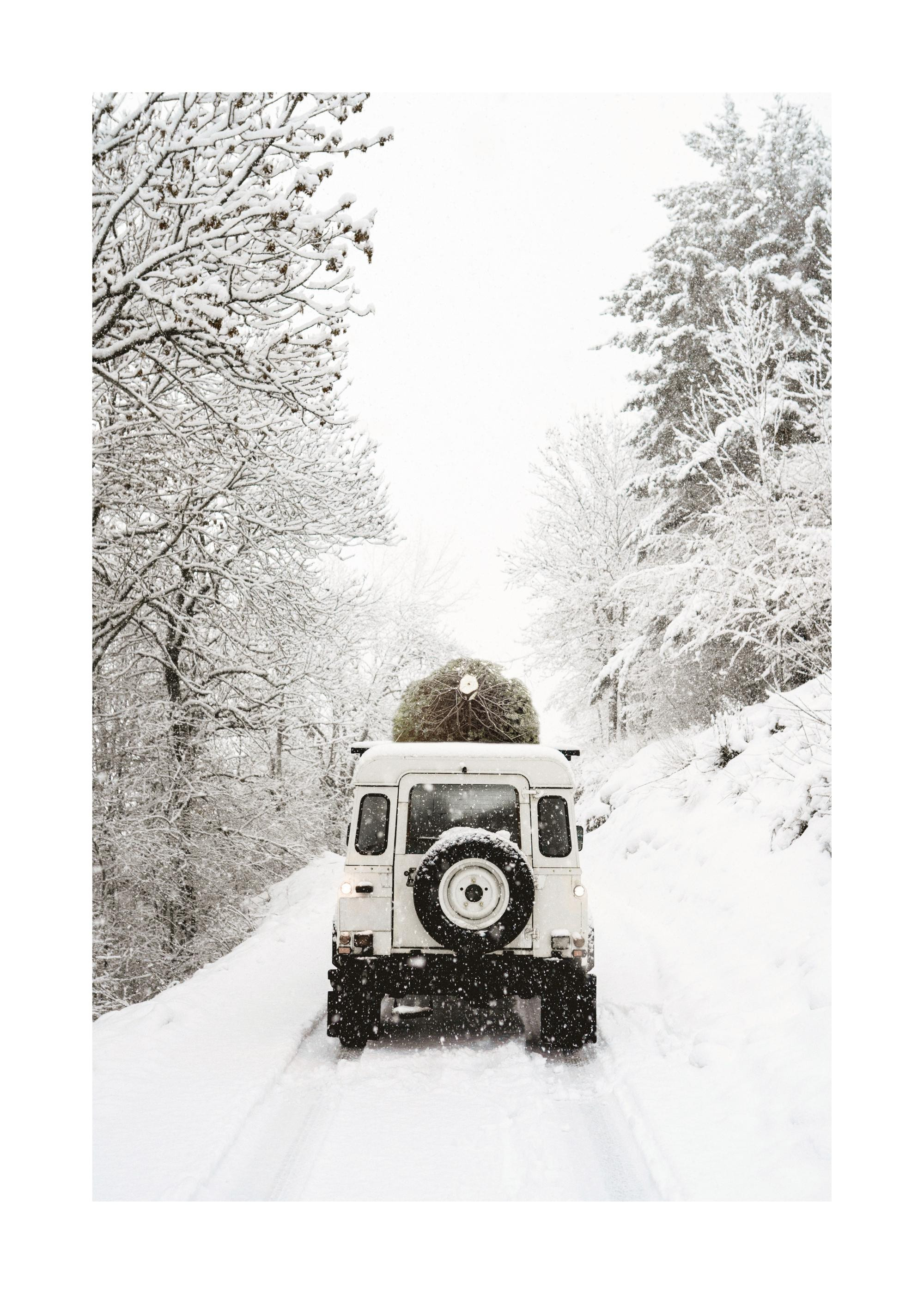 Holiday Delivery Print | Desenio