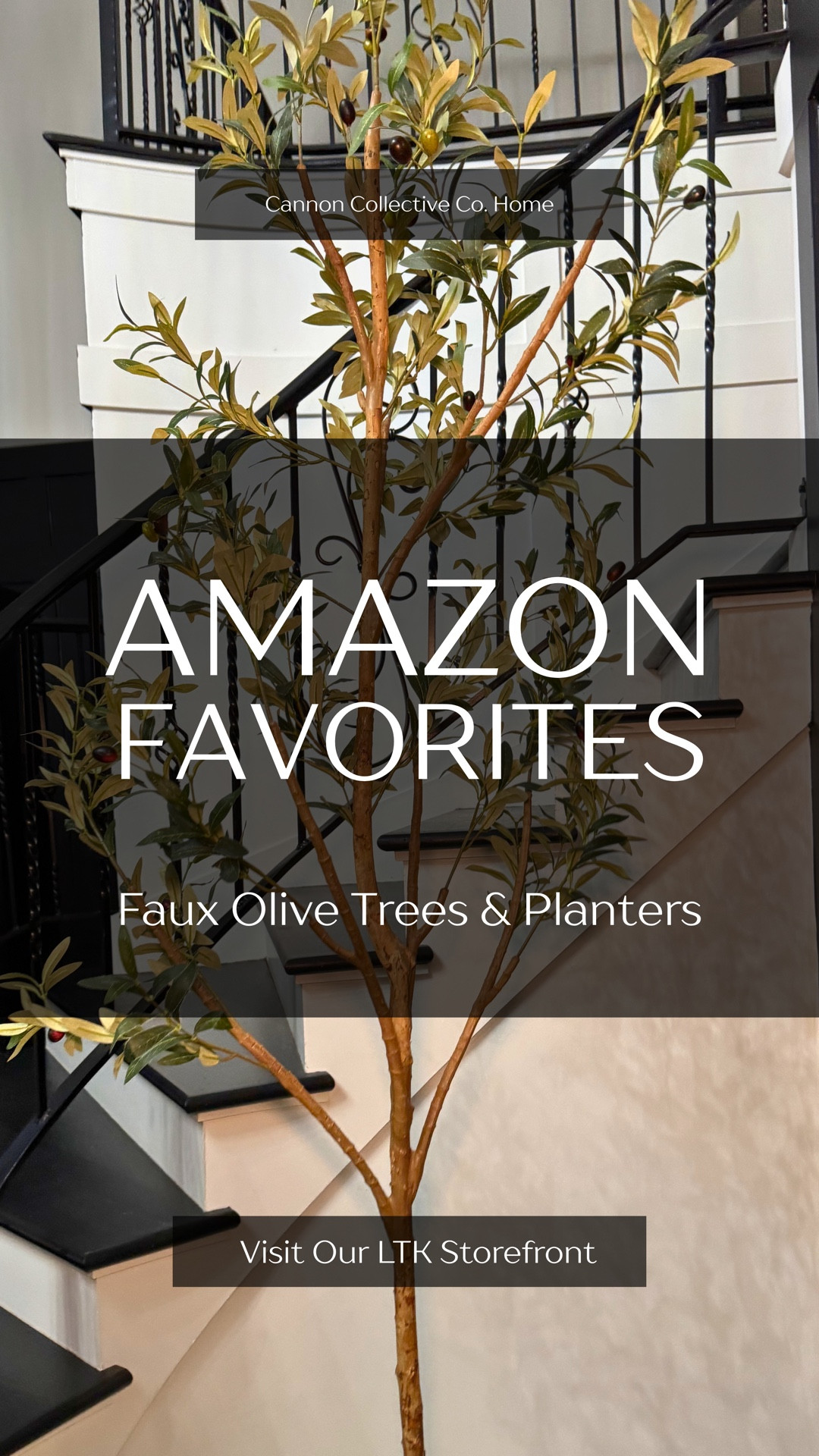 This is one of my go-to styling tricks every single time

The easiest way to make your home feel finished?

Height. Texture. Intention.

These faux olive trees completely changed the feel of my foyer — it went from flat to styled instantly.

No maintenance. No guesswork. Just one of those pieces that pulls everything together.

If your space feels like it’s missing something… this is it.

Everything linked.

#LTKHome