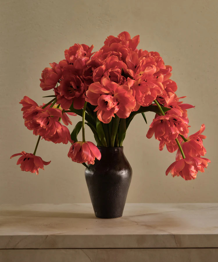 JB1 Vase | Jenni Kayne