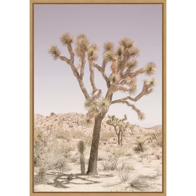 Amanti Art Joshua Tree by Shot by Clint Canvas Wall Art Print Framed 23-in. W x 33-in. H. | Target
