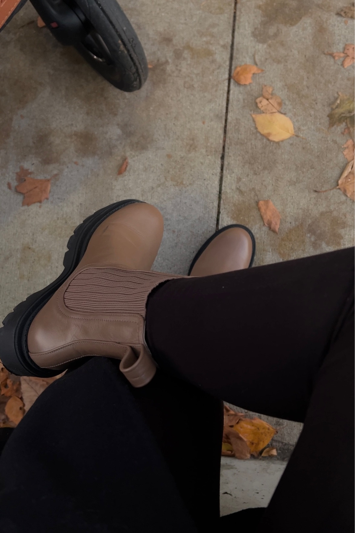 fall/winter essentials 🍂 

#LTKHoliday #LTKfindsunder100 #LTKSeasonal