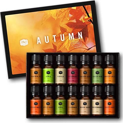 Autumn Set of 14 Premium Grade Fragrance Oils - 10ml | Amazon (US)