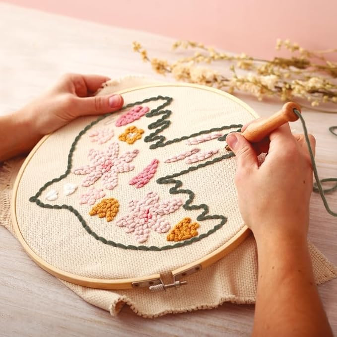 Graine créative Kit Punch Needle Oiseau | Amazon (FR)