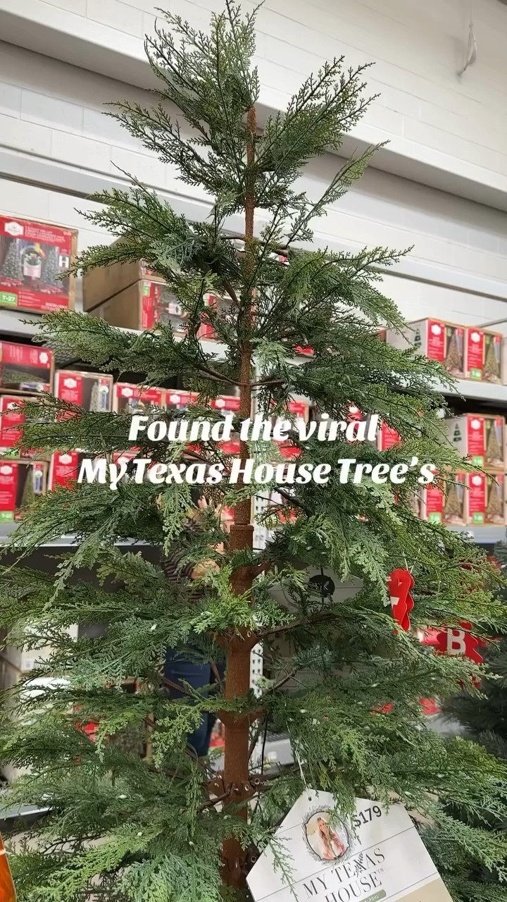 Christmas Tree

It’s so worth the hype! Christmas girlies it’s time to start shopping! 🤭

#christmas #christmas2024 #walmartchristmas #mytexashouse #ltkhomedecor #christmastreedecor #christmasatwalmart #walmartchristmasfinds #walmartholidayready #homestyleinspo #christmastree