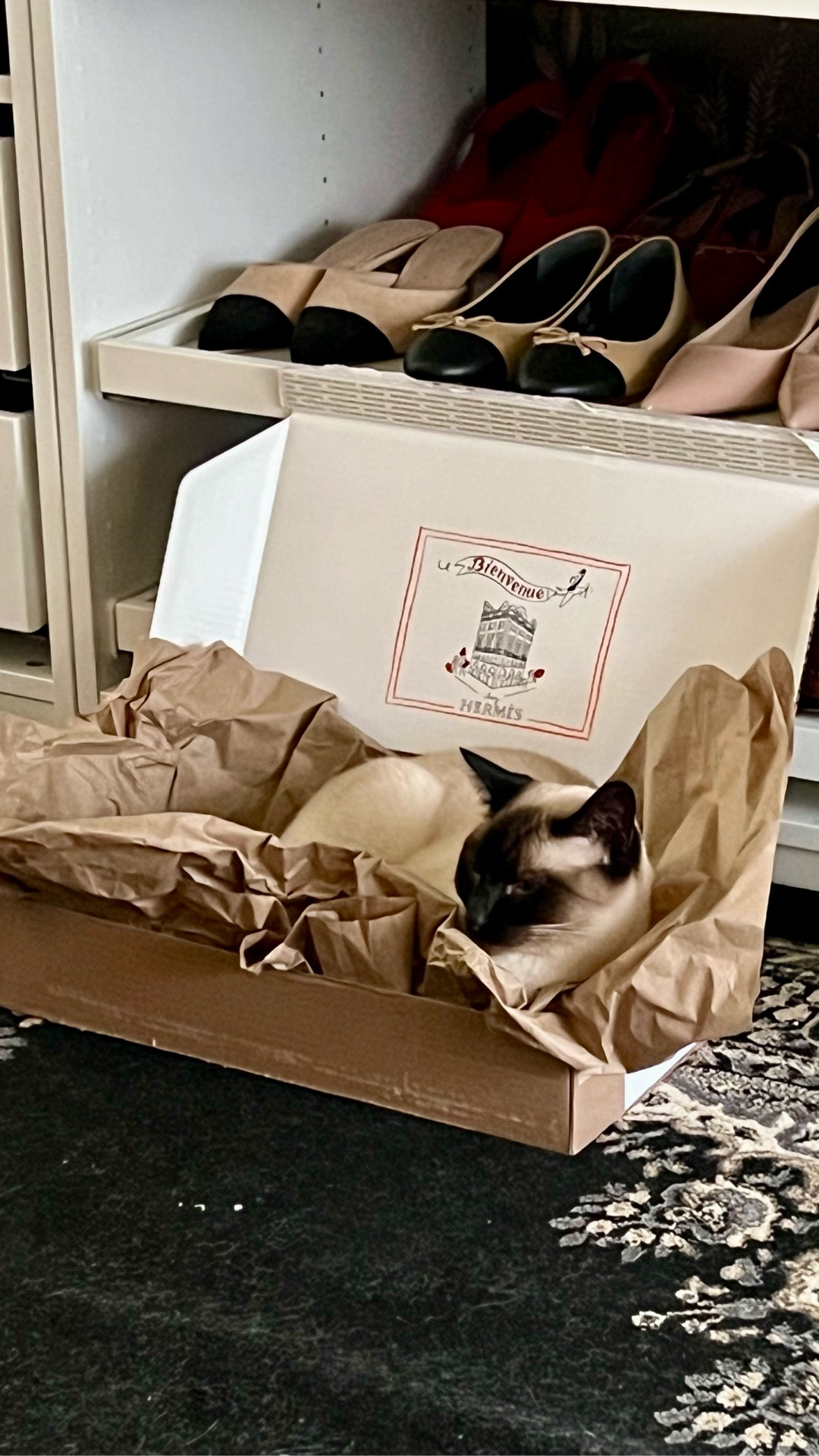 14 day vlog challenge, day 2.  It was all about my manager bossing me around, plus some sunshine! 

#LTKMidsize #LTKPetite #LTKvlog