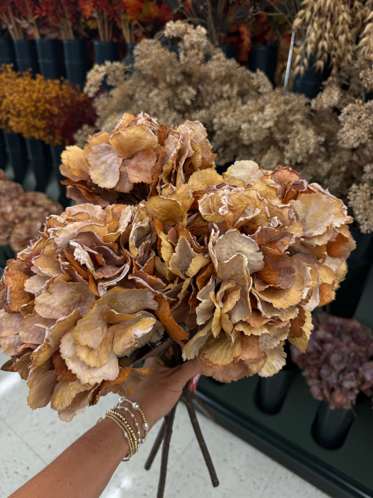 Dried hydrangeas for fall! Hobby lobby, Michael’s, Amazon!

#LTKSeasonal #LTKHome